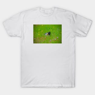 Magpie & Bee / Swiss Artwork Photography T-Shirt